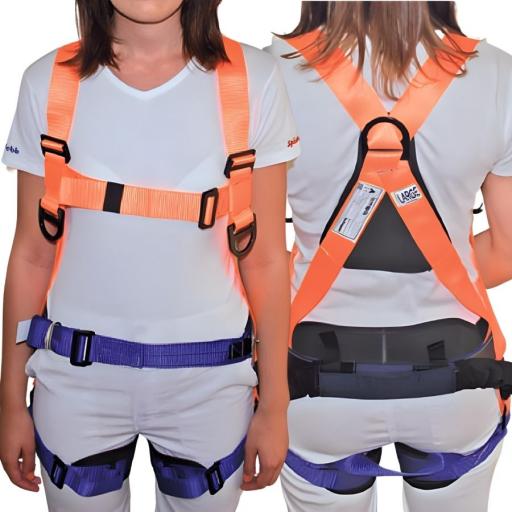 MOLE (Anglo #23 Underground)