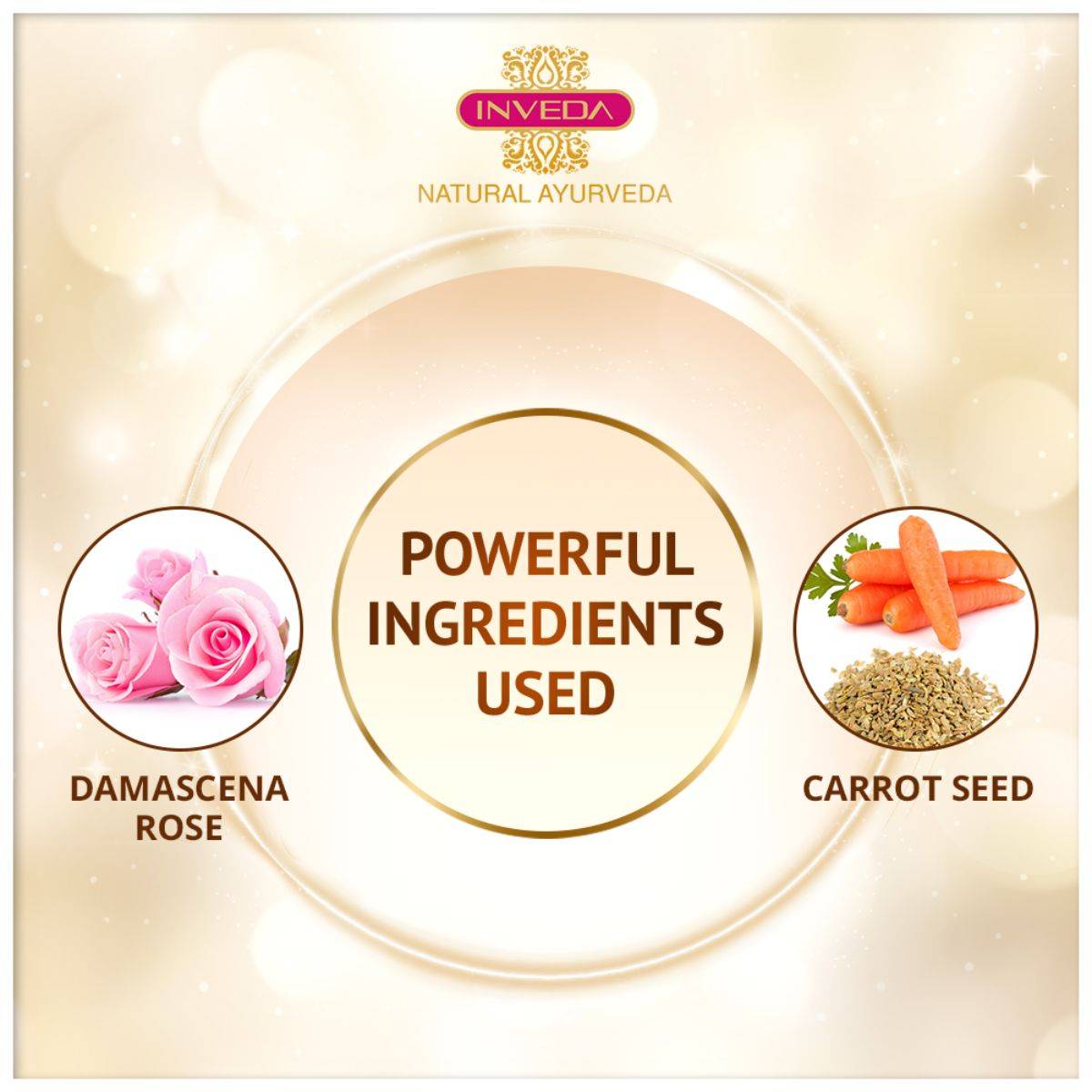 Essential Night Cream | Repairs Skin Cells 